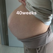 임신 10개월 기록 : 37주차, 38주차, 39주차, 40주차 / 골반 내진, 속골반, 유도분만 예정, 태동, 배크기, 임산부 체중증가