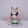 고양이 주식캔 웨루바 램버기니 습식사료