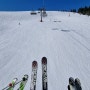 [Schwarzwald][Feldberg][검은숲] 2022년 2월, 스키 여행; 타고 또 타고