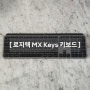 무접점 키보드 - 로지텍 MX KEYS for Mac 개봉 및 사용 후기