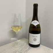 로랑 미켈 비오니에 솔라 2019 (Laurent Miquel Viognier Solas)...이마트 1만원대 와인 추천