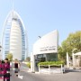 [두바이 여행] 두바이 호텔 버즈 알 아랍, 사막 사파리 투어.