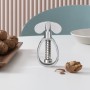 [ALESSI 100 VALUES COLLECTION] 알레시 100주년 #9 - THINGNESS