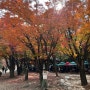 가을 속초 즐기기_설악산 케이블카