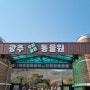 광주 우치공원 동물원 아이들과 봄나들이