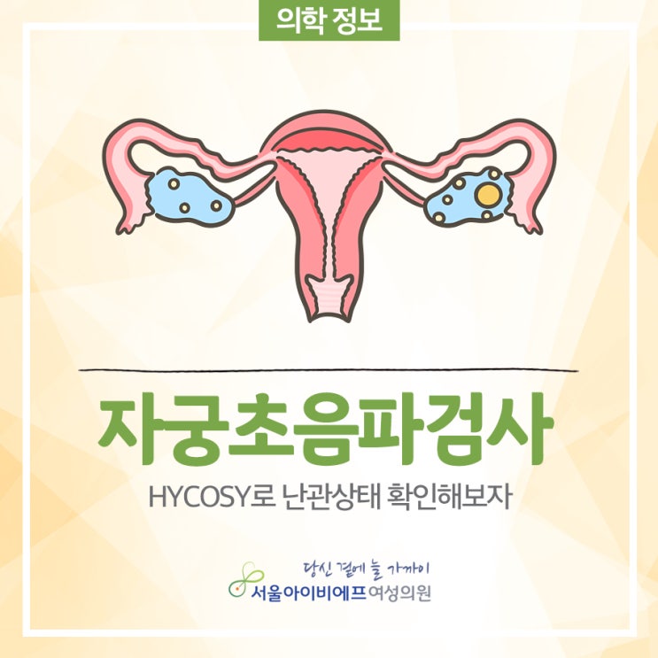 자궁초음파검사(HYCOSY)로 난관상태 확인해보자 : 네이버 블로그