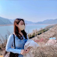 경남 3월 꽃구경, 양산 원동 매화 순매원(3월9일 개화 상황)