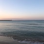 [제주] 내가 가장 좋아하는 바다 ‘세화해변’