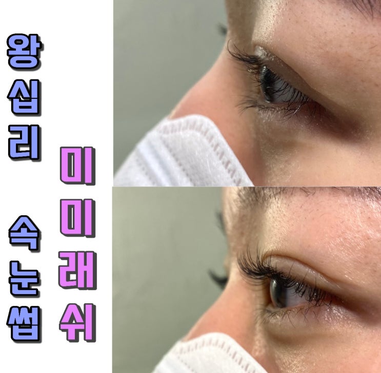미미래쉬 사진