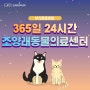 365일 24시 부산 강아지 고양이 전문 동물병원, 조양래동물의료센터 오시는 길