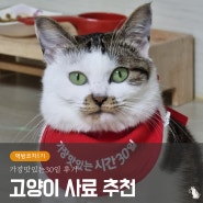 하림펫푸드 가맛시 고양이 사료 추천! 먹방코치1기