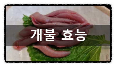 민간요법 개불 효능 및 부작용 먹는 법 알아보기 : 네이버 블로그