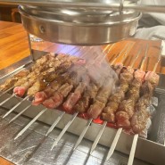 [도곡 : 리거양꼬치 #6] 매봉역 양꼬치 맛집, 단백한 양고기 추천!