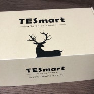 HDMI선택기로 TESmart 장비 어떤가요?