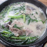 서귀포 아기랑 식당 고기국수 순대국밥 맛있어