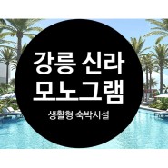 강릉 신라 모노그램 생활형숙박시설 분양예정[신라호텔 브랜드 런칭]