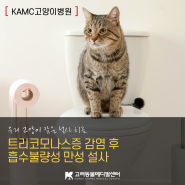 청주고려동물병원[고양이병원] - 잦은 고양이의 설사치료