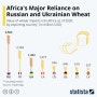 러시아와 우크라이나 밀에 대한 아프리카의 주요 의존도