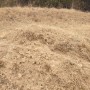 상주 문경 군위 의성 묘지 산소 사초작업 잔디심기 좋은계절