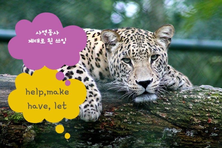 사역동사 동사원형 쓰는이유 have let make help/ask get : 네이버 블로그