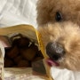 강아지 빅독 동결건조 사료 캥거루 빅바이트, 리틀바이트 많이 먹인 후기 급여량