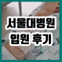 복합 섬유선종 제거 수술하러 서울대학교 병원 입원 / 5인실 병동 후기!