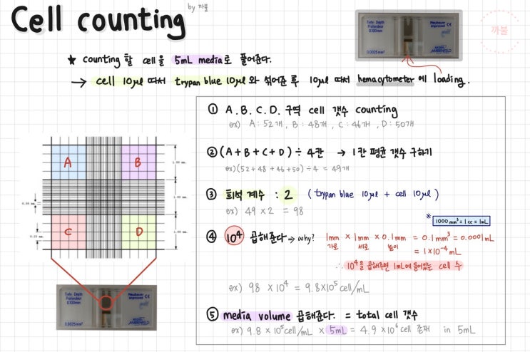[까불 실험노트] cell counting 방법 : 네이버 블로그