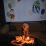 강아지 비숑 연두 세번째 생일 :: 생일빔,강아지 케익