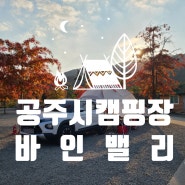 충남 공주시 '바인밸리캠핑장' 1박2일