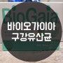 구강유산균 바이오가이아 프로덴티스 로젠지 금액,섭취방법