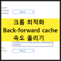 구글 크롬 최적화 back forward cache chrome 속도 올리기