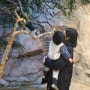 영등포 주렁주렁 : 18개월 아기랑 같이 가기좋은 실내동물원