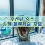 송정 블루캐슬 호텔 오션뷰가 매력적인 숙소