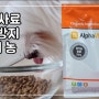 노견 비만예방 강아지관절사료 : 유기농 알파벳S 사료 소개