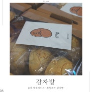 쫀득쫀득 감자빵이 맛있는 춘천 인기 핫플 카페, 감자밭!