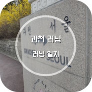 2021.10.14 운동 일지 사당 과천 러닝 - 8.0km