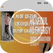 [마라톤 대회 정보] 2022 서울마라톤(동아마라톤) - 참가비, 언택트 대회, 할부 마라톤