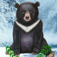 멸종위기동물-반달가슴곰 색연필로 그리기