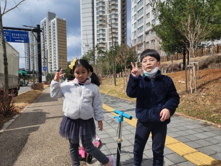 복덩이들 정말 오랜만에 산책길에 나섰습니다^^