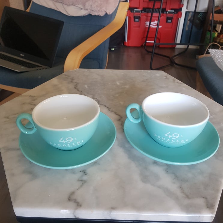 49th parallel coffee cup & saucer