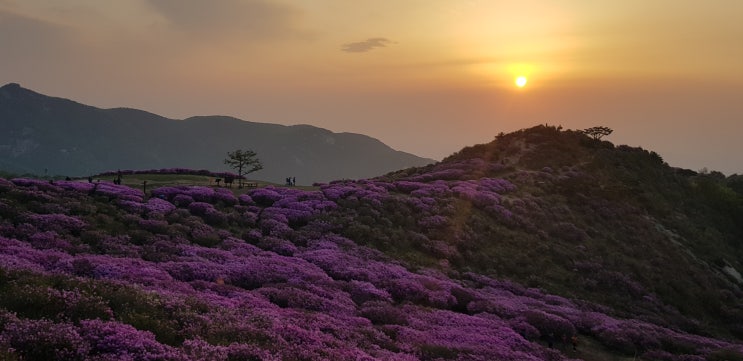 합천 가볼만한 곳 BEST 추천 : 네이버 블로그