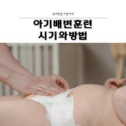 아기배변훈련 대소변가리기