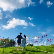 파주 임진각 평화누리공원 바람개비 언덕 : 파주 데이트 여름 드라이브