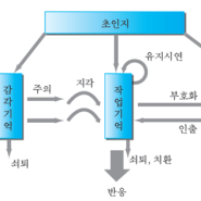 인지주의 학습이론4 / 정보처리이론(1) 정보저장고