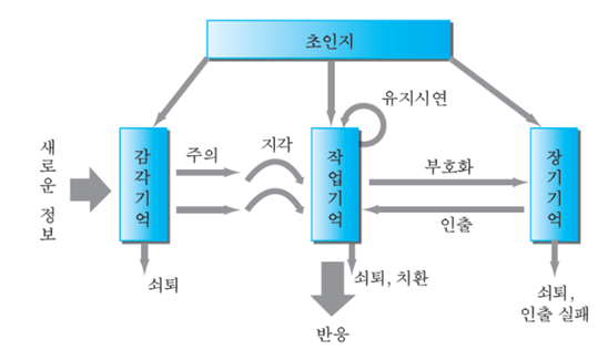 인지주의 학습이론4 / 정보처리이론(1) 정보저장고 : 네이버 블로그