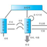 인지주의 학습이론 5 / 정보처리이론(2) 인지처리과정과 메타인지