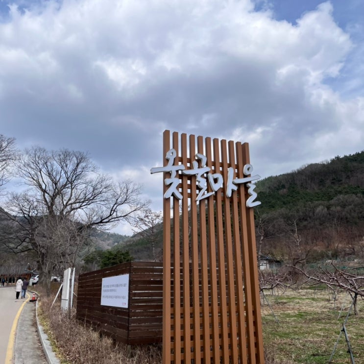 대구 동구 옻골마을 / 옻닭