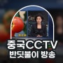 중국 CCTV 방송 - 스마트팜 반딧불이 소개