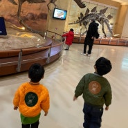 거대 미끄럼틀이 재밌는 서대문 자연사박물관