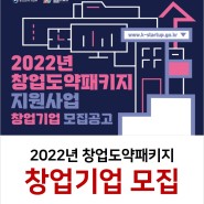 2022년 창업도약패키지 창업기업 모집 접수 - 창업진흥원